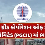 PGCIL Apprentice Recruitment 2024