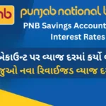 PNB Savings Account Latest Interest Rates: પંજાબ નેશનલ બેન્કએ સેવિંગ એકાઉન્ટ પર વ્યાજ દરમાં કર્યો બદલાવ-જુઓ નવા રિવાઈજડ વ્યાજ દર