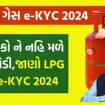 LPG Gas e-KYC 2024: આ લોકો ને નહિ મળે સબસિડી,જાણો LPG ગેસ e-KYC 2024